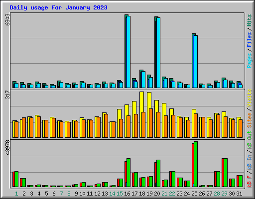 Daily usage for January 2023