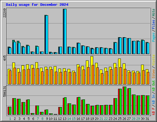 Daily usage for December 2024