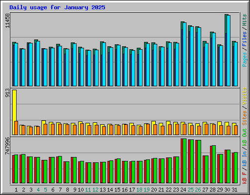 Daily usage for January 2025