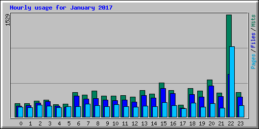 Hourly usage for January 2017