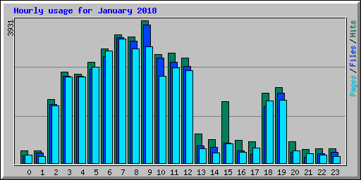 Hourly usage for January 2018