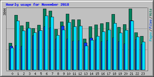 Hourly usage for November 2018
