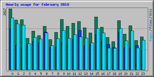 Hourly usage for February 2019