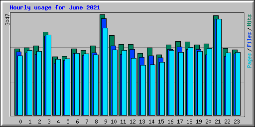 Hourly usage for June 2021