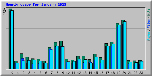 Hourly usage for January 2023