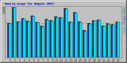 Hourly usage for August 2023