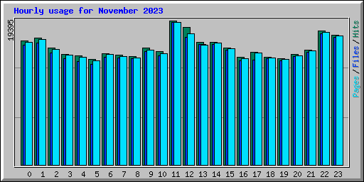 Hourly usage for November 2023