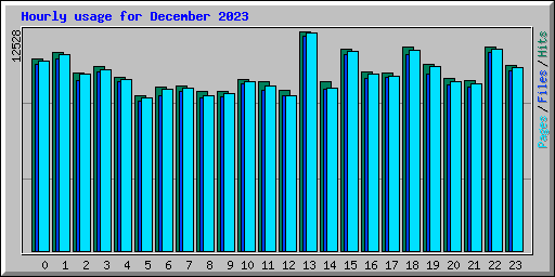Hourly usage for December 2023