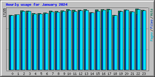 Hourly usage for January 2024