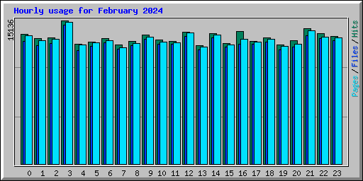Hourly usage for February 2024