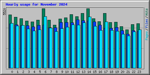 Hourly usage for November 2024