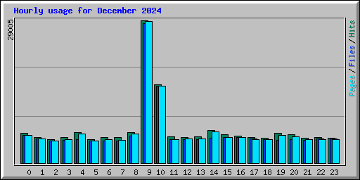 Hourly usage for December 2024