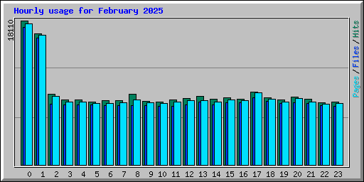 Hourly usage for February 2025