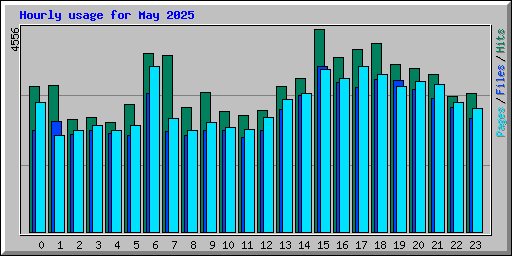 Hourly usage for May 2025