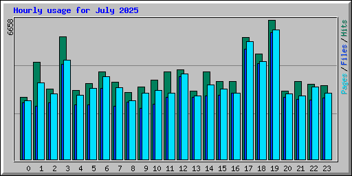 Hourly usage for July 2025