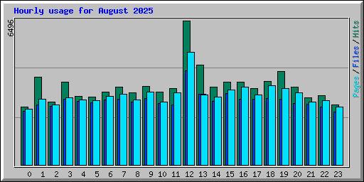 Hourly usage for August 2025