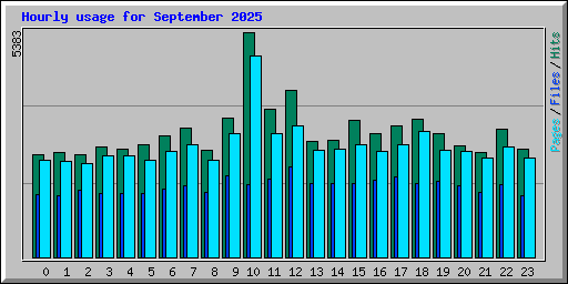 Hourly usage for September 2025