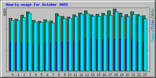 Hourly usage for October 2025