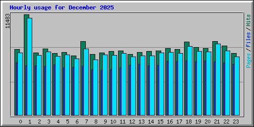 Hourly usage for December 2025