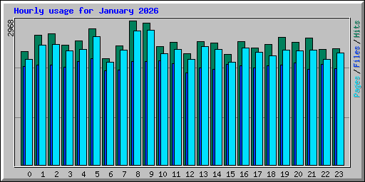 Hourly usage for January 2026