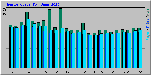 Hourly usage for June 2026